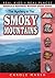 The Mystery of the Smoky Mountain (Real Kids! Real Places! Book 38)