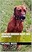 Rhodesian Ridgeback: halten , aber vernünftig (German Edition)