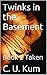 Twinks in the Basement: Book 2 Taken