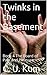 Twinks in the Basement: Book 4 The Board of Pain and Pleasure