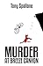Murder at Breeze Canyon by Tony Spallone
