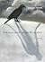 Designed for Flight: Poems