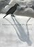Designed for Flight by Gregory Fraser