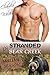 Stranded In Bear Canyon by Claudia Wilder