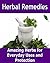 Herbal Remedies: Amazing Herbs for Everyday Uses and Protection: (herbal remedies, herbs, natural remedies)