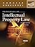 Myers' Principles of Intellectual Property Law, 2d (Concise Hornbook Series)