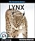 My Favorite Animal: Lynx