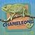 Get to Know Chameleons (Get...