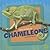 Get to Know Chameleons (Get To Know Reptiles)