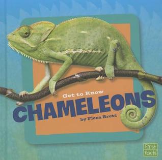 Get to Know Chameleons (Get To Know Reptiles)