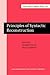Principles of Syntactic Reconstruction (Current Issues in Linguistic Theory)