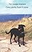 Cara, porto fuori il cane (Italian Edition)