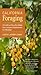 California Foraging: 120 Wild and Flavorful Edibles from Evergreen Huckleberries to Wild Ginger (Regional Foraging Series)