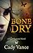 Bone Dry (Soul Shamans, #1)