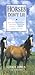 Horses Don't Lie by Chris Irwin