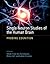 Single Neuron Studies of the Human Brain by Itzhak Fried Single Neuron Studies of the Human Brain by Itzhak Fried
