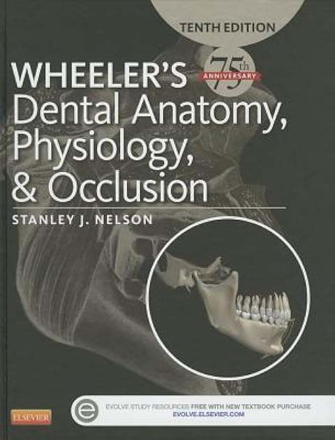 Wheeler's Dental Anatomy, Physiology and Occlusion: Expert Consult