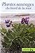 Plantes sauvages du bord de la mer (Guide d'identification Fleurbec) (French Edition)