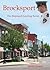 Brocksport The Maynard Junebug Series by Janice Ernest