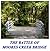 The Battle of Moores Creek ...