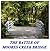 The Battle of Moores Creek Bridge by Charles E. Hatch