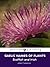 Gaelic Names of Plants (Scottish and Irish)