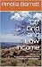 Off Grid and Low Income by Amelia Barrett