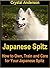 Japanese Spitz