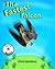 The Fastest Falcon (Raptor ...