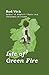 Isle of Green Fire (The Kaylee O'Shay, Irish Dancer Series Book 7)