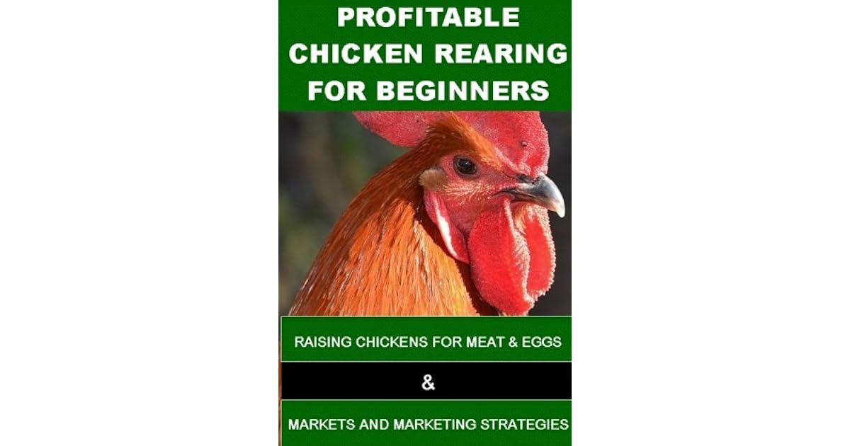 Profitable Chicken Rearing For Beginners Raisng Chickens For Meat