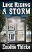 Like Riding A Storm (Ken & Michael #3)