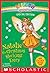 Natalie the Christmas Stocking Fairy (Rainbow Magic Special Edition)