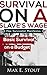 A Beginner's Urban Survival Prepping Guide: Basic Urban Survival on a Budget And Survival Tips in the Prepping Urban Environment(The Prepper’s Urban survival Guide): Urban Survival Prepping