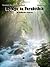 Bridge to Terabithia Teacher Guide - Literature Guide and complete unit of lessons for teaching the novel Bridge to Terabithia by Katherine Paterson
