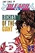 Bleach―ブリーチ― [Burīchi] 5: Rightarm of the Giant (Bleach, #5)