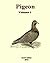Pigeon, Volume 1