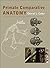 Primate Comparative Anatomy