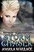 Storm Chaser (Elemental Magic Book 5)
