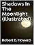 Shadows In The Moonlight (Illustrated)