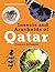 Insects and Arachnids of Qatar