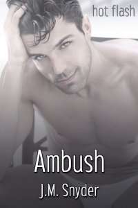 Ambush (Kindle Edition)