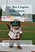 The Bus Leagues Experience:...