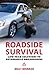 Roadside Survival: Low-tech Solutions to Automobile Breakdowns