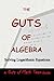 The Guts of Algebra: Solving Logarithmic Equations