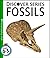 Fossils (Discover Series)