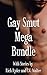 Gay Smut Mega Bundle!