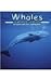 Whales (Pebble Books)