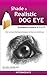 Shade a Realistic Dog Eye: drawspace module 6.2.A15