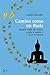 CAMINA COMO UN BUDA (Spanish Edition)